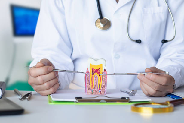 Best Urgent Care for Lost Fillings or Crowns in Hemlock, MI